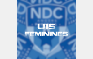 Equipe U14-U15 - Féminines (2010-2011)