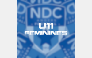 U10-U11 - Féminines (2014-2015)