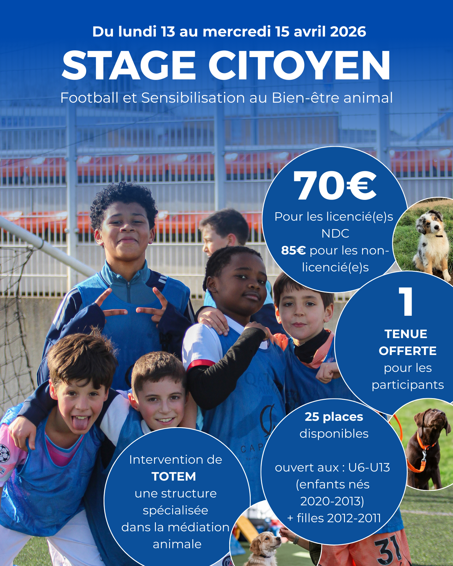 Stage Citoyen